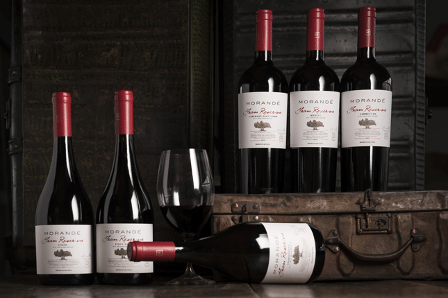 Morandé Black Series Pinot Noir - Image 2