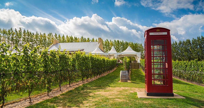 LUCKETT_VINEYARD