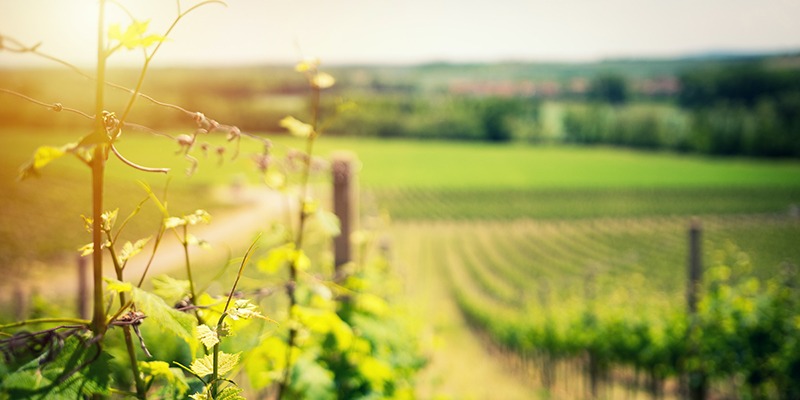 NS_BLOG_HEADER(SUB)